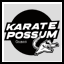 Karate Possum Games